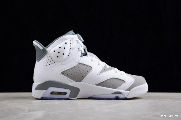 CT8529-100 Grey Cool CT8529-100 Jordan Retro 6 0309